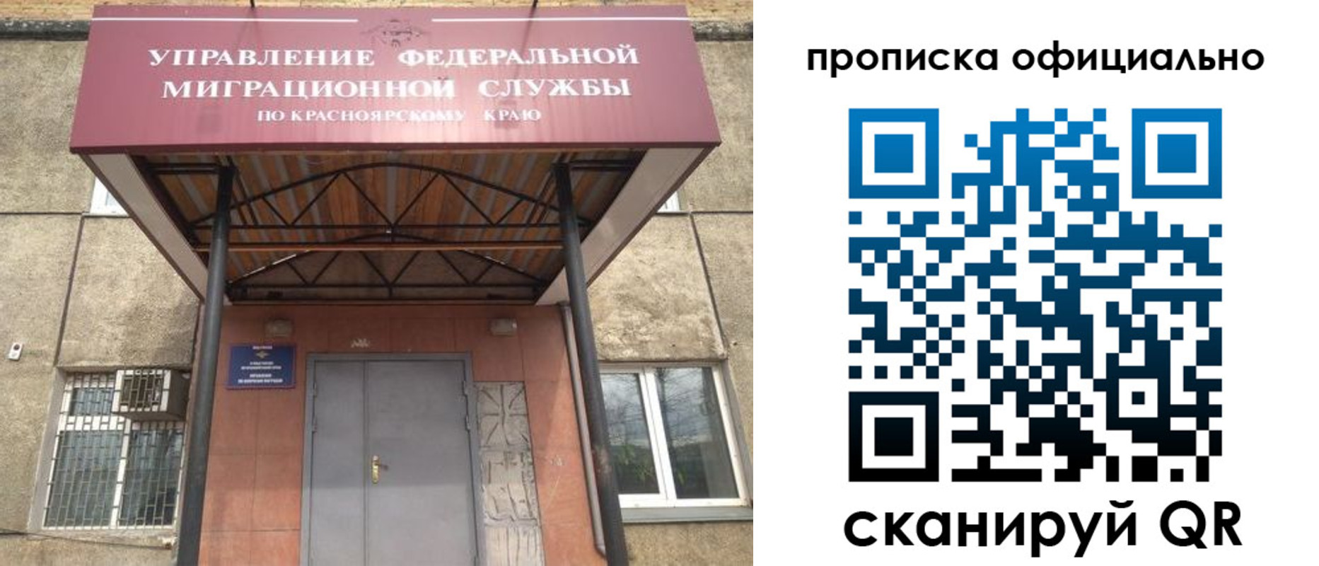 прописка поиск в Ермолино
